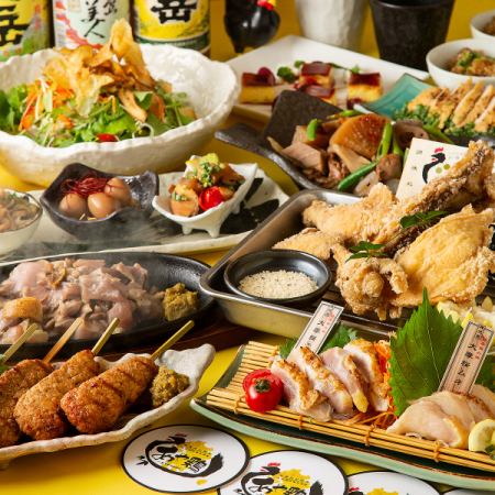 Popular for banquets◇Aya Chicken Course◇Seared Chicken/Fried Chicken/Charcoal Grilled Chicken Thighs [9 dishes]◇All-you-can-drink included