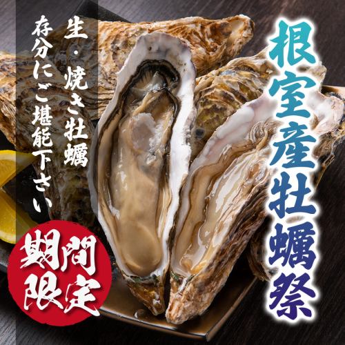 期間限定【根室産牡蠣祭り】開催中！生牡蠣、焼き牡蠣を存分にご堪能ください！