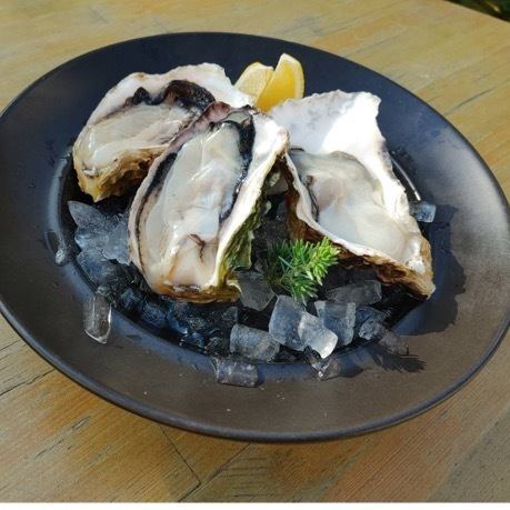 Fresh Oyster Uramura Oyster (3pc)