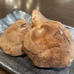 大分县丰后高田市村上农场的香菇苗床