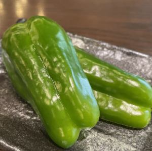 来自高知县土佐市的上田无苦味甜椒