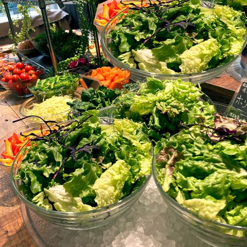 Salad buffet (included free of charge for customers who order from the lunch menu)