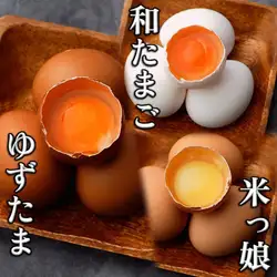 -岡山県産-和たまご／-高知県産-ゆずたま／-愛媛県産-米っ娘たまご