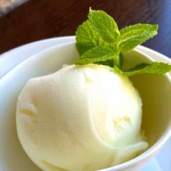 Yuzu lemon sorbet