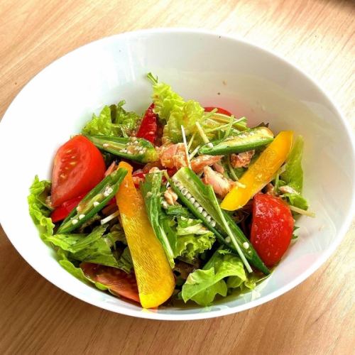 夏 野菜とツナのサラダ
