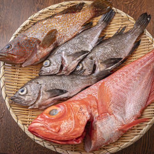 【魚のプロが厳選した新鮮な魚を使用した料理の数々！】