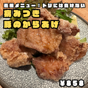 病みつき豚唐揚げ（愛豚揚げ）