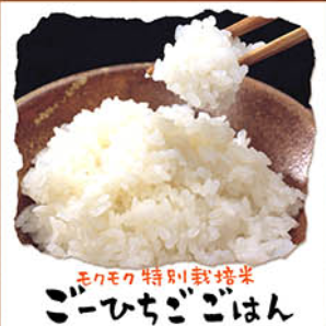 モクモク特別栽培米ごーひちごごはん