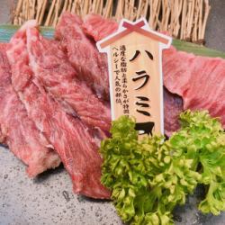 Japanese black beef skirt steak