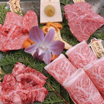 [Luxurious!] Satisfied with the premium feel≪14 dishes in total≫ Omi beef gohana course 9,800 yen ⇒ 9,300 yen!
