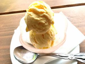 homemade vanilla ice cream