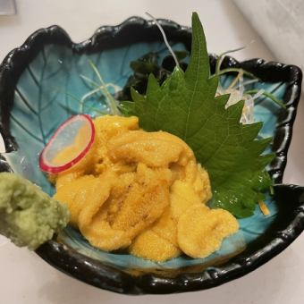 咸水海胆