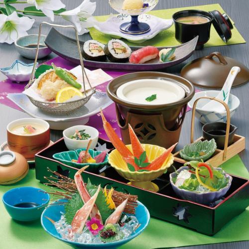 小菊 ～こぎく～