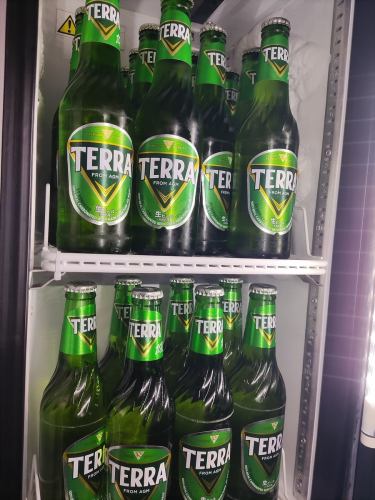 TERRAビール