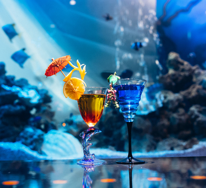 一边欣赏优雅游动的热带鱼，一边倾斜玻璃杯。更高级别的成人 BAR