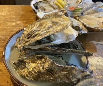 Grilled/steamed oysters