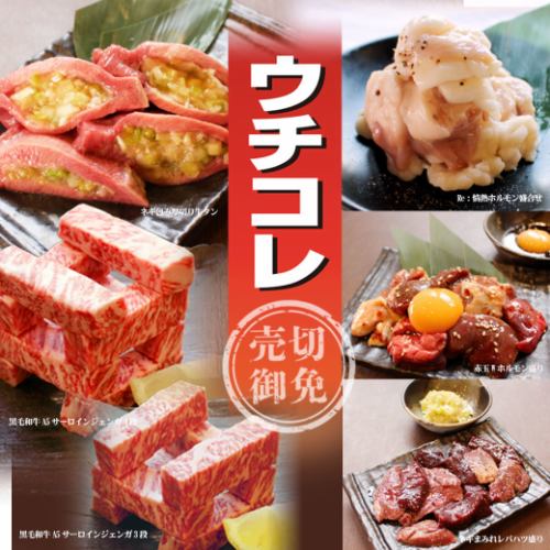 【新宿西口で焼肉宴会】】関東限定メニューがいっぱい！『ウチコレ』は見逃せない