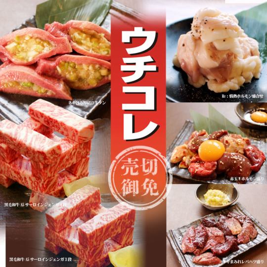 【新宿西口で焼肉宴会】】関東限定メニューがいっぱい！『ウチコレ』は見逃せない