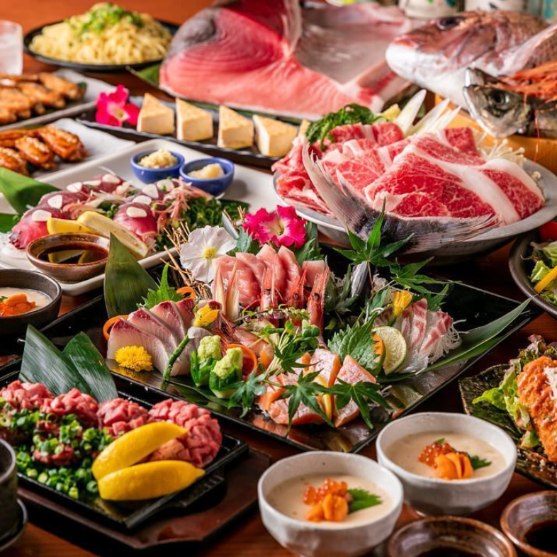 享用直接从产地运送的新鲜、从未冷冻过的蓝鳍金枪鱼，以及格外新鲜的刺身！