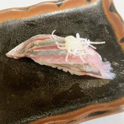 Horse mackerel