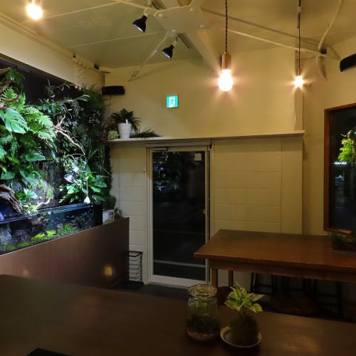 綠色的牆壁充滿了綠色植物