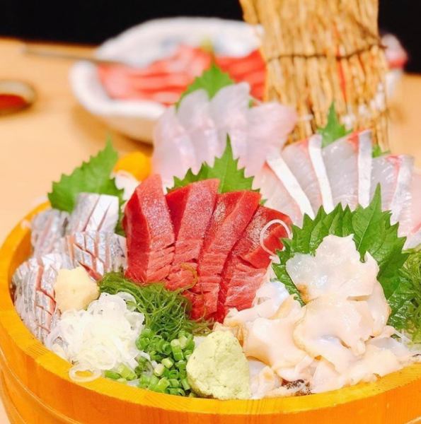[Gen-chan's seasonal sashimi] Gen-chan is a restaurant where you can have a drink with a side of fish!
