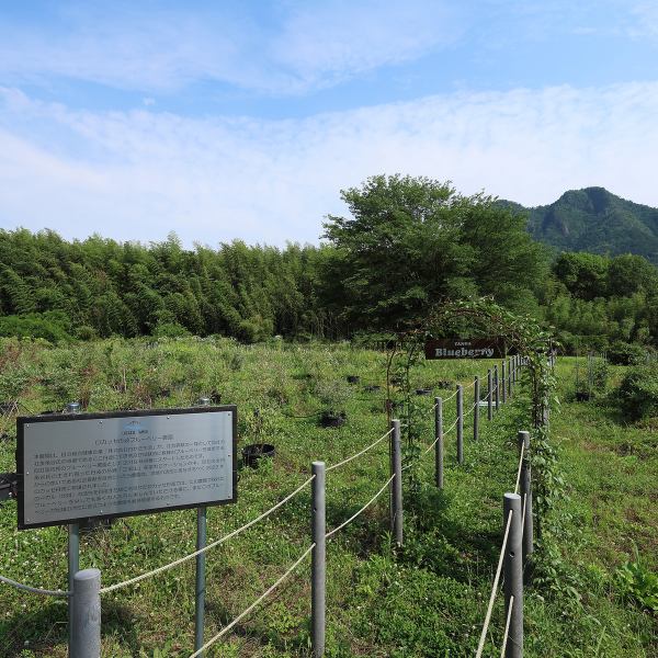 一歩足を踏み入れれば、そこは丹波の美しい緑に囲まれた開放的なリゾート空間！爽やかな風が吹き抜けるテラス席では、手ぶらで本格的なBBQが楽しめます◎大自然という最高の調味料に包まれて味わうお料理は、より一層美味しく感じられること間違いなし♪日常の忙しさを忘れ、心もお腹も満たされる特別な時間を。