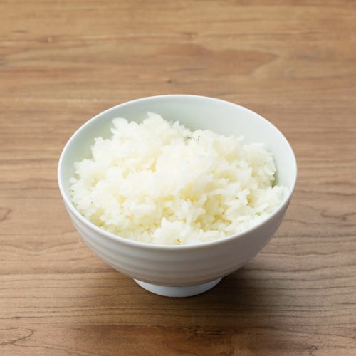 白米飯（中）