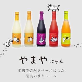 予約大歓迎♪【60分（45分L.O.）やまや蒸留所単品飲み放題】特別価格→808円！