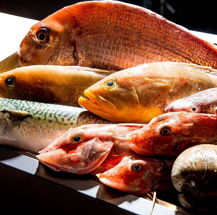 北海道をはじめ全国の旬の魚介をプロが厳選し仕入れております！
