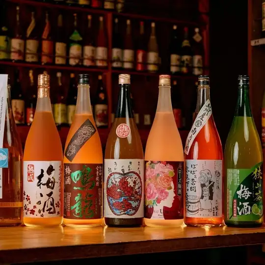 【当日OK】禁断！店内の100種以上の梅酒・果実酒が2時間飲み放題