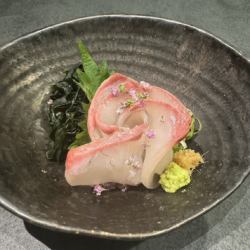 高知　カンパチ