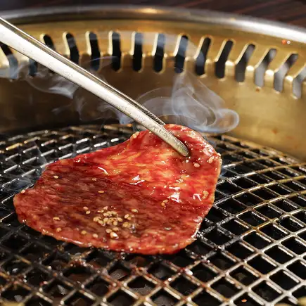 《お料理のみ》厚切ヒレ肉や和牛ハラミ・特上カルビなど【宮崎牛極コース】全16品／8,500円