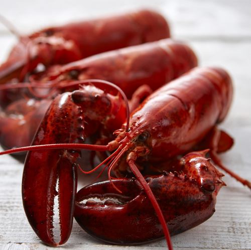 鮮度にこだわり!ロブスタータンクで徹底品質管理