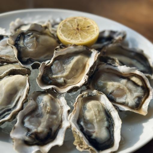 All-you-can-eat oysters "OYSTER PLAN" (120Min L.O.90Min)