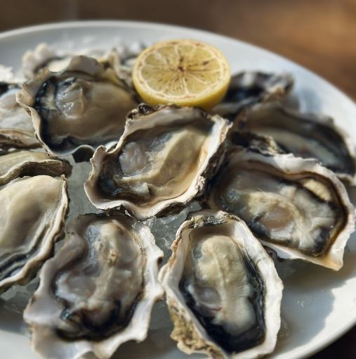 굴 뷔페 "OYSTER PLAN"(120Min L.O90Min)