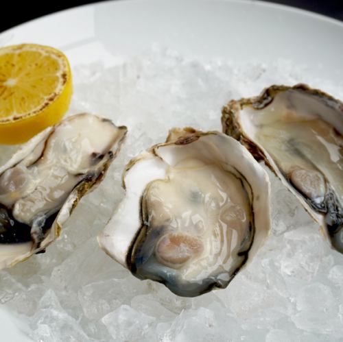 신선한 굴