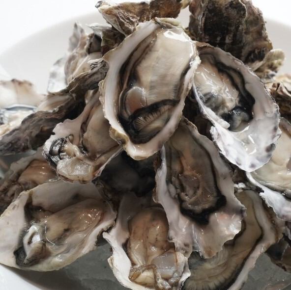 스페셜 굴 타워