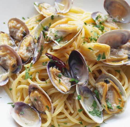 북대서양 조개 봉고레비앙코