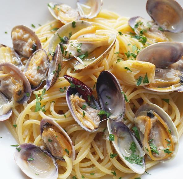 북대서양 조개 봉고레비앙코