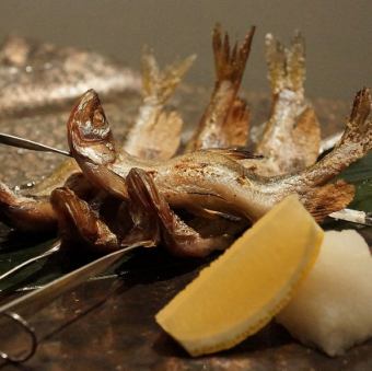 烤鹹鮭魚（四條）