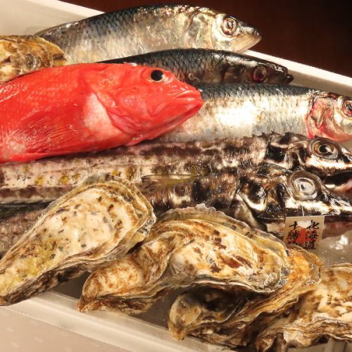 엄선된 바다의 은혜