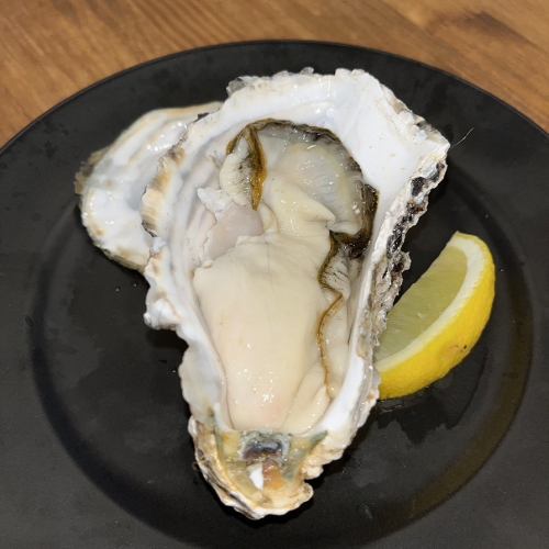 "Chichikoi Oysters" from Miyagi Prefecture (raw/grilled)