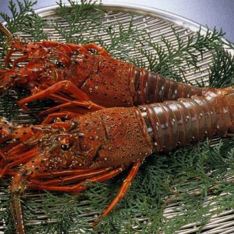 【料理のみ】豪華食材を堪能する『活魚、伊勢海老(ロブスター)、肉料理コース』全10品 8,800円