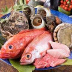 鮮度抜群の旬の素材を存分に味わえる