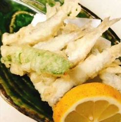 Setouchi small sardine tempura