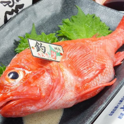 北海道網走産　生で食べられる釣りキンキは絶品！！！