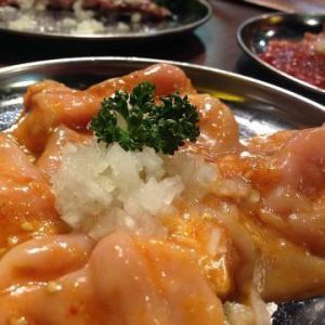 シビレ・ヤン・ギアラ