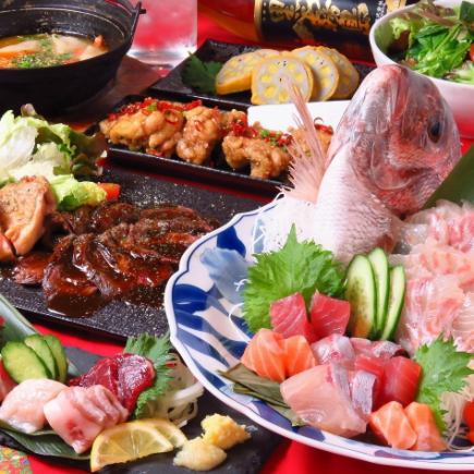 【飲み放題Aプラン付】6000円コース(鍋なし)◆タイ姿付刺身3種盛りや馬刺し5種盛りなど全11品！