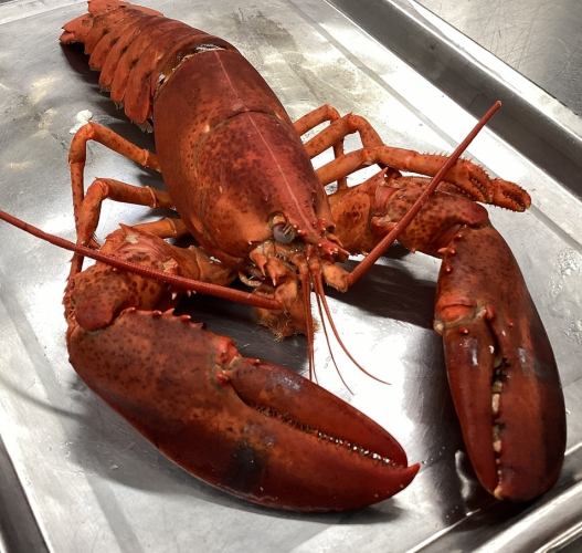 The world's three great delicacies and lobster course 13,000 yen (reservations required) [Dinner only]